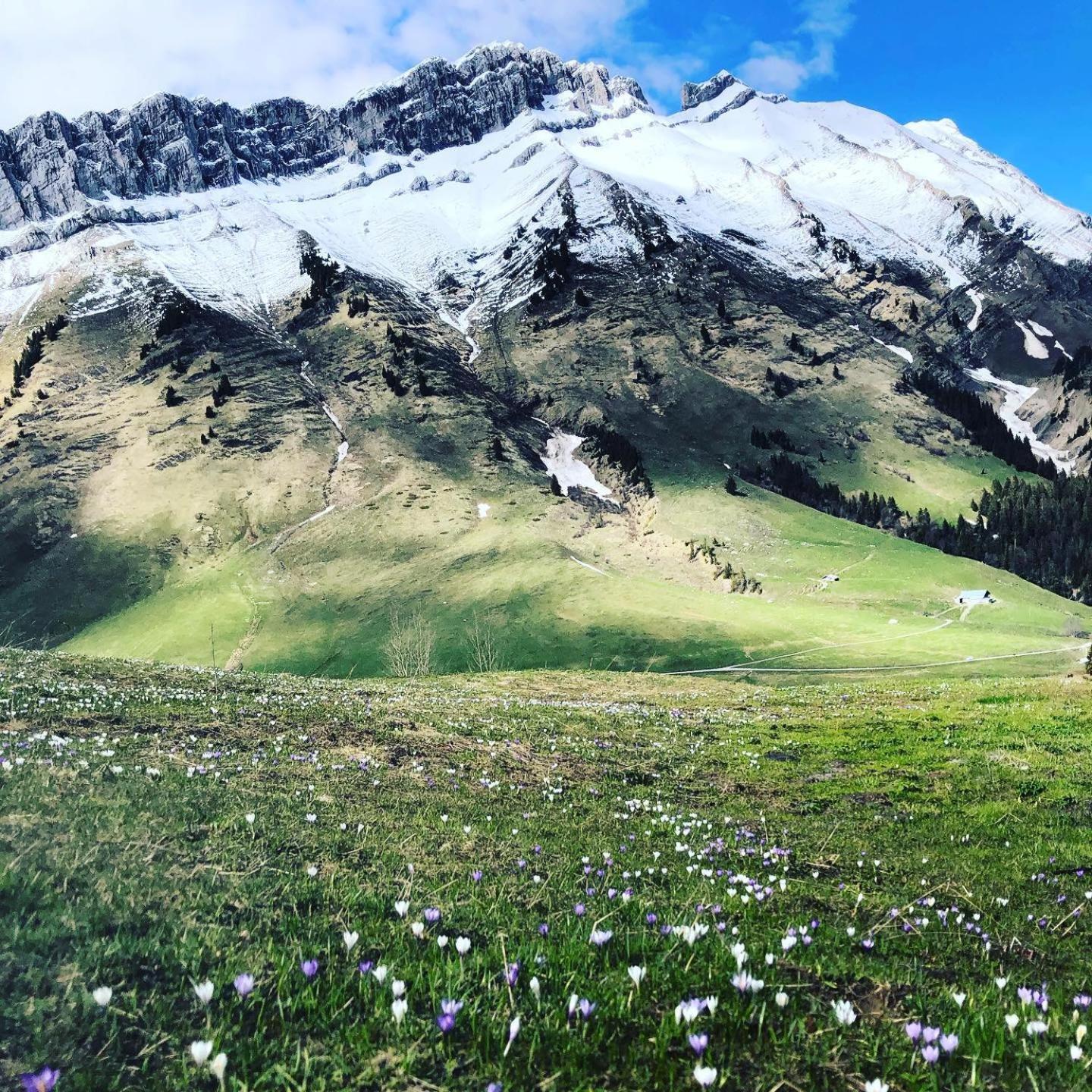 Auberge De Jeunesse Hi La Clusaz Bagian luar foto